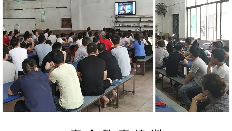 少儿编程教育，培养未来技术人才的关键一环