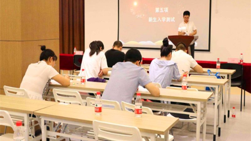 电工培训：理论与实践费用解析